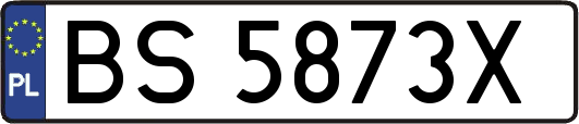 BS5873X