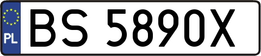 BS5890X