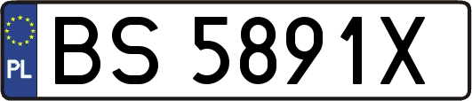 BS5891X