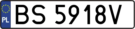 BS5918V