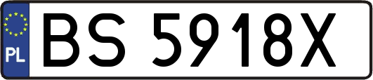 BS5918X