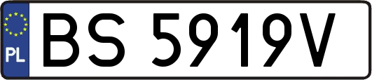 BS5919V