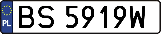 BS5919W