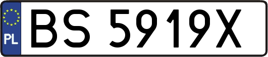 BS5919X