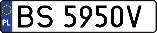 BS5950V