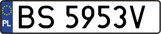 BS5953V