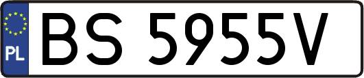 BS5955V