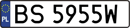 BS5955W