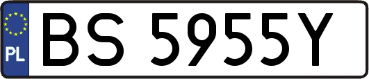 BS5955Y