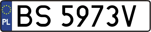 BS5973V