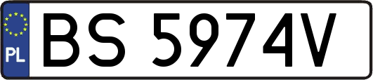 BS5974V