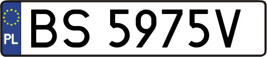 BS5975V