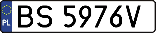 BS5976V