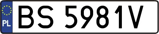 BS5981V