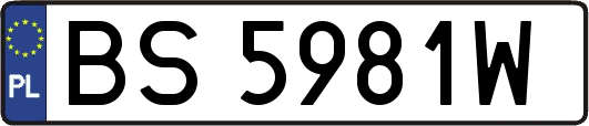 BS5981W