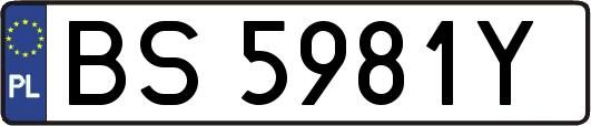 BS5981Y