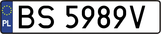 BS5989V