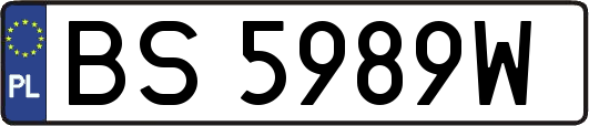 BS5989W