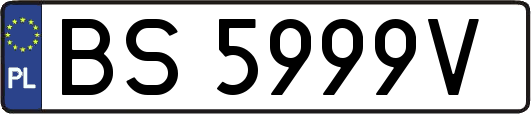 BS5999V
