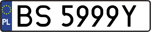 BS5999Y