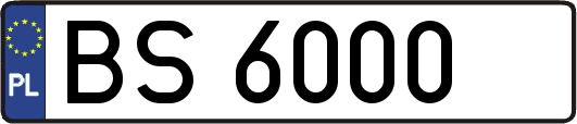BS6000