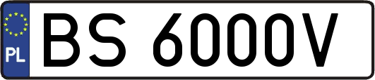 BS6000V