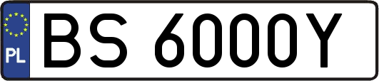 BS6000Y