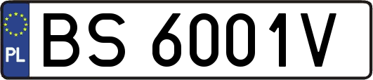 BS6001V
