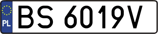 BS6019V