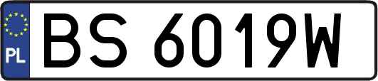 BS6019W