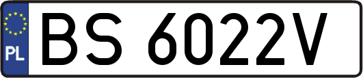 BS6022V