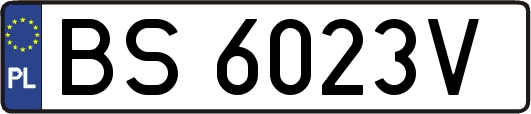BS6023V