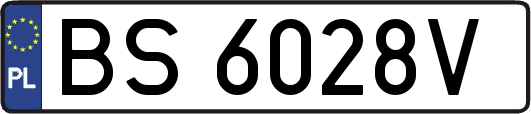 BS6028V