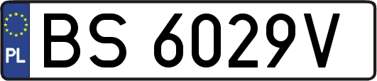 BS6029V