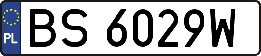BS6029W