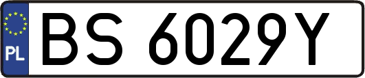 BS6029Y