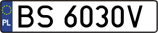BS6030V