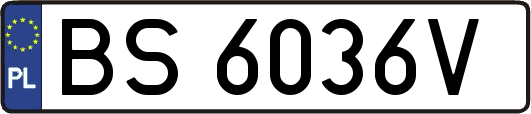 BS6036V