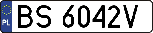 BS6042V