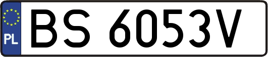 BS6053V