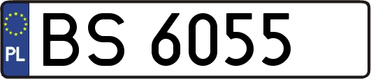 BS6055