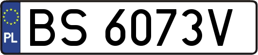 BS6073V