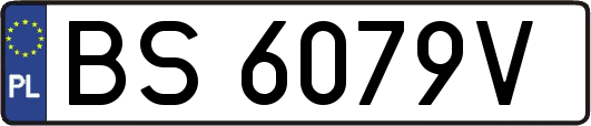 BS6079V