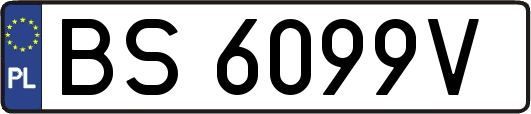 BS6099V