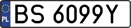 BS6099Y