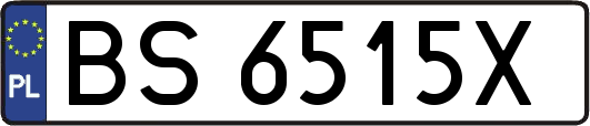 BS6515X