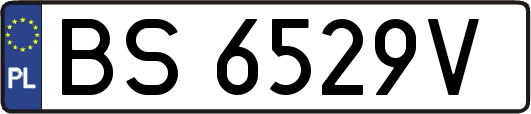 BS6529V