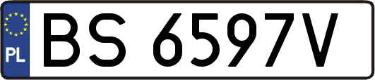 BS6597V