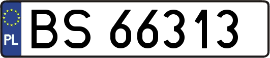 BS66313