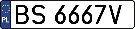 BS6667V